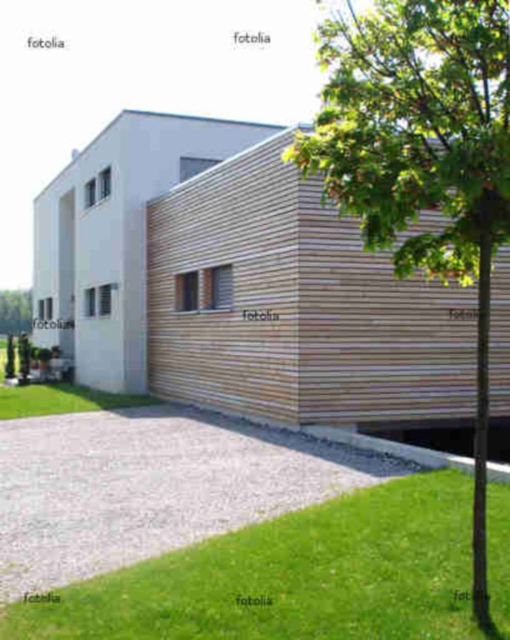 Entwicklungen im modernen Holzbau: Innovation trifft Nachhaltigkeit